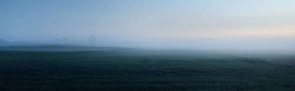 日落时 森林草坪 在雾中 月亮升起 忧郁的天空 田园诗般的夏季乡村风景 孤独概念 — 图库照片