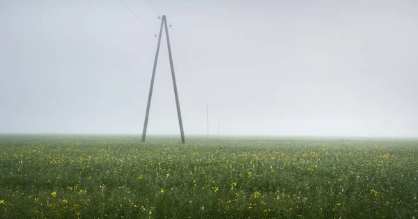 Panorámás Kilátás Nyílik Zöld Szántott Mezőgazdasági Területen Erdő Gyep Rét — Stock Fotó