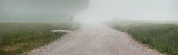 Eine Straße Durch Den Immergrünen Wald Nach Der Abholzung Sommer — Stockfoto