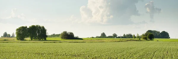 Zielone Wzgórza Zaoranych Pól Uprawnych Lasów Idylliczna Letnia Scena Wiejska — Zdjęcie stockowe