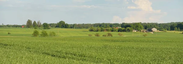 Grüne Hügel Eines Gepflügten Landwirtschaftlichen Feldes Und Waldes Idyllische Ländliche — Stockfoto