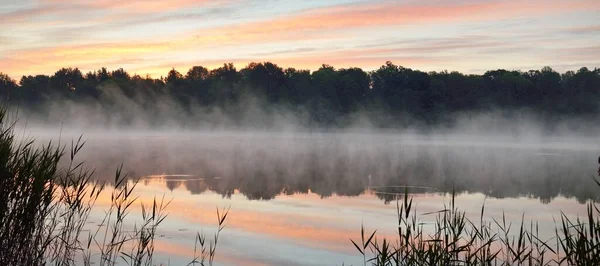 Forest Lake River Fog Sunrise Symmetry Reflections Water Natural Mirror — Stock Photo, Image