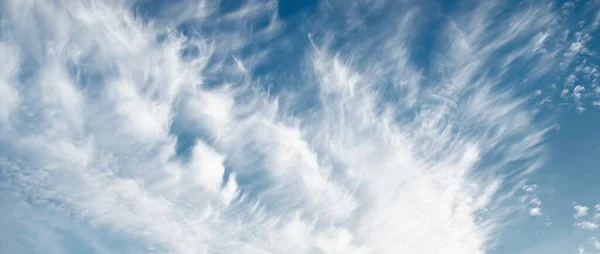 Ornamental clouds. Dramatic sky. Epic storm cloudscape. Soft sunlight. Panoramic image, texture, background, graphic resources, design, copy space. Meteorology, heaven, hope, peace concept