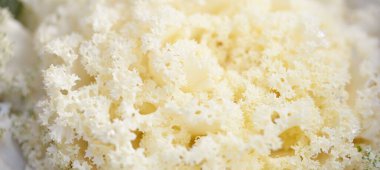 Yeşil bir yaz bahçesinde dekoratif süs lahana (beyaz lahana). Çiy damlaları, yumuşak güneş ışığı. Doğal dokular. Peyzaj, bahçıvanlık, kırsal, çiftlik, çiçekçilik.