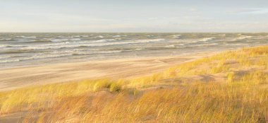 Baltık kıyıları (kum tepeleri) fırtınadan sonra gün batımında. Açık gökyüzü, parlayan bulutlar, rüzgar. Sonbahar manzarası. Doğa, çevre koruma, ekoloji, eko-turizm, yerel seyahat