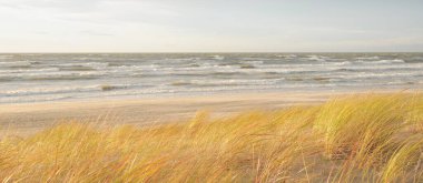 Baltık kıyıları (kum tepeleri) fırtınadan sonra gün batımında. Açık gökyüzü, parlayan bulutlar, rüzgar. Sonbahar manzarası. Doğa, çevre koruma, ekoloji, eko-turizm, yerel seyahat