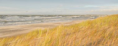 Baltık kıyıları (kum tepeleri) fırtınadan sonra gün batımında. Açık gökyüzü, parlayan bulutlar, rüzgar. Sonbahar manzarası. Doğa, çevre koruma, ekoloji, eko-turizm, yerel seyahat