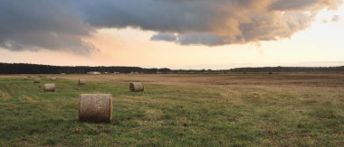 Dramatik gökyüzü, zirai tarlaların ve ormanların üzerindeki kara bulutlar. Kırsal alan. Atmosferik manzara. Sonbaharın başında. Doğa, kararsız hava, ekoloji, çevre, tarım endüstrisi, uzak yerler