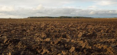 Tarım tarlası, toprak dokusu. Tarım ve gıda endüstrisi, alternatif üretim, gübre, sulama, çevresel hasar ve koruma kavramları