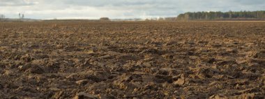 Tarım tarlası, toprak dokusu. Tarım ve gıda endüstrisi, alternatif üretim, gübre, sulama, çevresel hasar ve koruma kavramları