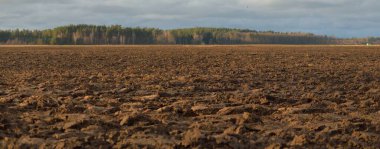 Tarım tarlası, toprak dokusu. Tarım ve gıda endüstrisi, alternatif üretim, gübre, sulama, çevresel hasar ve koruma kavramları