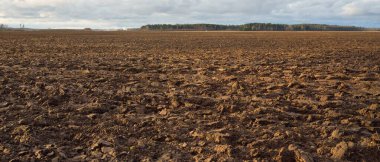 Tarım tarlası, toprak dokusu. Tarım ve gıda endüstrisi, alternatif üretim, gübre, sulama, çevresel hasar ve koruma kavramları