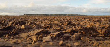 Tarım tarlası, toprak dokusu. Tarım ve gıda endüstrisi, alternatif üretim, gübre, sulama, çevresel hasar ve koruma kavramları