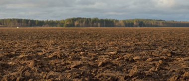 Tarım tarlası, toprak dokusu. Tarım ve gıda endüstrisi, alternatif üretim, gübre, sulama, çevresel hasar ve koruma kavramları