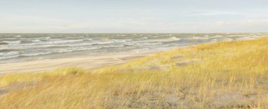 Baltık kıyıları (kum tepeleri) fırtınadan sonra gün batımında. Açık gökyüzü, parlayan bulutlar, rüzgar. Sonbahar manzarası. Doğa, çevre koruma, ekoloji, eko-turizm, yerel seyahat