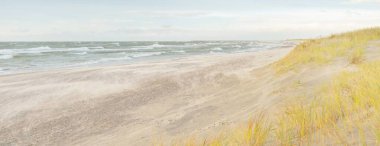 Baltık kıyıları (kum tepeleri) fırtınadan sonra gün batımında. Açık gökyüzü, parlayan bulutlar, rüzgar. Sonbahar manzarası. Doğa, çevre koruma, ekoloji, eko-turizm, yerel seyahat