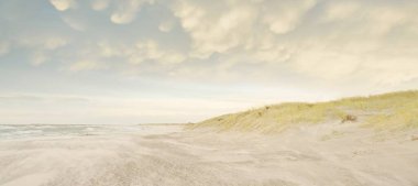 Gün batımında Baltık kıyısı. Kumsal, kum tepeleri, kum tepecikleri. Açık günbatımı gökyüzü, parlayan bulutlar. Idyllic manzara. Doğa, tatiller, eğlence. eko turizm