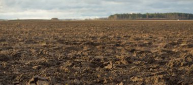 Tarım tarlası, toprak dokusu. Tarım ve gıda endüstrisi, alternatif üretim, gübre, sulama, çevresel hasar ve koruma kavramları
