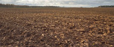 Tarım tarlası, toprak dokusu. Tarım ve gıda endüstrisi, alternatif üretim, gübre, sulama, çevresel hasar ve koruma kavramları