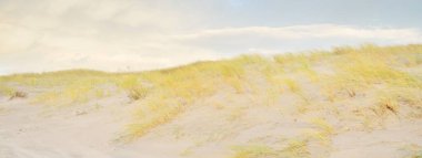 Gün batımında Baltık kıyısı. Kumsal, kum tepeleri, kum tepecikleri. Açık günbatımı gökyüzü, parlayan bulutlar. Idyllic manzara. Doğa, tatiller, eğlence. eko turizm