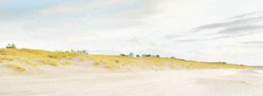 Gün batımında Baltık kıyısı. Kumsal, kum tepeleri, kum tepecikleri. Açık günbatımı gökyüzü, parlayan bulutlar. Idyllic manzara. Doğa, tatiller, eğlence. eko turizm