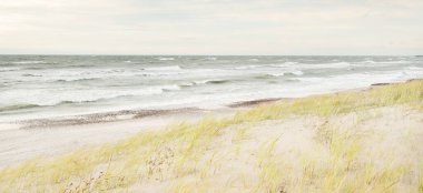 Baltık kıyıları (kum tepeleri) fırtınadan sonra gün batımında. Açık gökyüzü, parlayan bulutlar, rüzgar. Sonbahar manzarası. Doğa, çevre koruma, ekoloji, eko-turizm, yerel seyahat