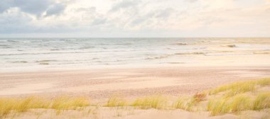 Baltık kıyıları (kum tepeleri) fırtınadan sonra gün batımında. Açık gökyüzü, parlayan bulutlar, rüzgar. Sonbahar manzarası. Doğa, çevre koruma, ekoloji, eko-turizm, yerel seyahat