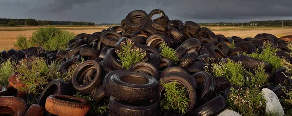 Vertedero Neumáticos Que Utiliza Para Refuerzo Estructuras Agrícolas Con Fertilizantes — Foto de Stock