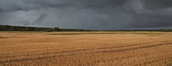 Cielo Dramático Nubes Oscuras Sobre Campo Agrícola Arado Bosque Escena —  Fotos de Stock