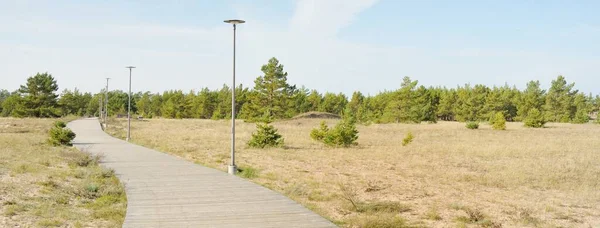 Modern Träväg Strandpromenad Genom Östersjökusten Och Skogen Idylliskt Landskap Natur — Stockfoto
