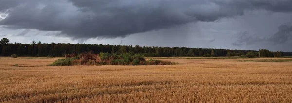 Cielo Dramático Nubes Oscuras Sobre Campo Agrícola Arado Bosque Escena — Foto de Stock