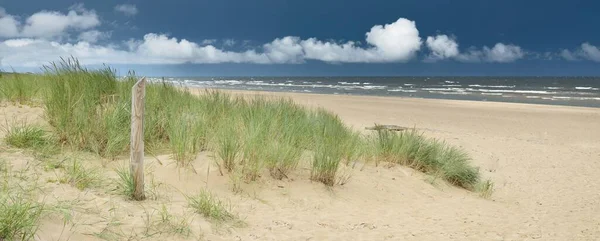 Baltic Sea Shore Sunny Day Beach Sand Dunes Dramatic Sky — ストック写真
