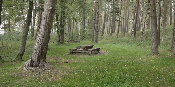 Recreational Area Resting Zone Green Forest Rustic Wooden Bench Table — Fotografia de Stock