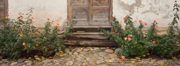 Casa Piedra Tradicional Con Puerta Madera Rústica Ventanas Flores Rosas — Foto de Stock