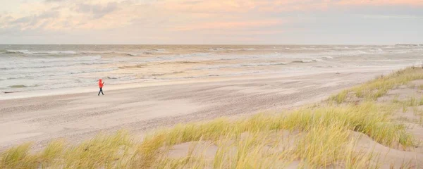 Baltic Sea Shore Sunset Beach Sand Dunes Clear Sunset Sky — Fotografia de Stock