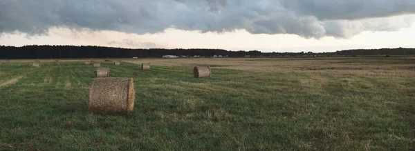 Cielo Dramático Nubes Oscuras Sobre Campo Agrícola Arado Bosque Escena — Foto de Stock