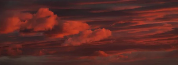 Sunset Sky Glowing Pink Golden Clouds Storm Dramatic Cloudscape Concept — Stok fotoğraf