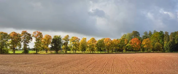 Plowed Agricultural Field Soil Texture Forest Background Soft Morning Sunlight — Stock Photo, Image