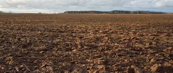 Tarım tarlası, toprak dokusu. Tarım ve gıda endüstrisi, alternatif üretim, gübre, sulama, çevresel hasar ve koruma kavramları