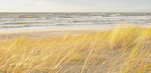 Baltic Sea Coast Sand Dunes Storm Sunset Clear Sky Glowing — Fotografia de Stock