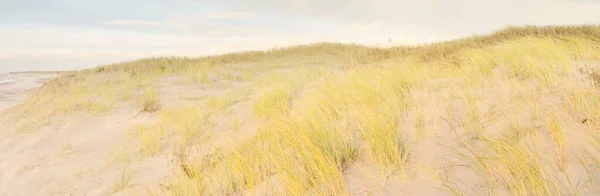 Baltic Sea Shore Sunset Beach Sand Dunes Dune Grass Clear — Foto de Stock