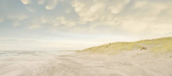 Baltic Sea Shore Sunset Beach Sand Dunes Dune Grass Clear — Stock Fotó