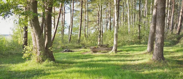 Rekreationsområde Och Rastplats Grön Skog Rustik Träbänk Och Bord Idylliskt — Stockfoto