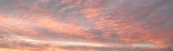 Clear Blue Sky Glowing Pink Golden Cirrus Cumulus Clouds Sunrise — 스톡 사진