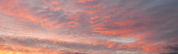 Céu Azul Claro Com Brilhante Cirro Rosa Dourado Nuvens Cumulus — Fotografia de Stock