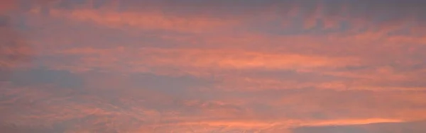 Cielo Azul Claro Nubes Rosadas Doradas Amanecer Paisaje Nublado Dramático —  Fotos de Stock