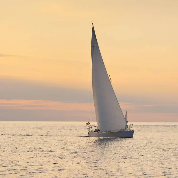 Sloop Blanc Gréé Yacht Naviguant Dans Mer Baltique Coucher Soleil — Photo