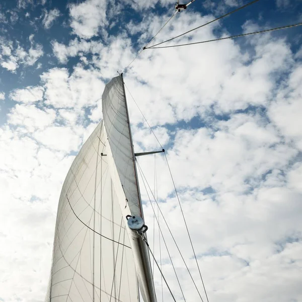 Balsa Blanca Yate Aparejado Navegando Mar Báltico Atardecer Vista Desde —  Fotos de Stock