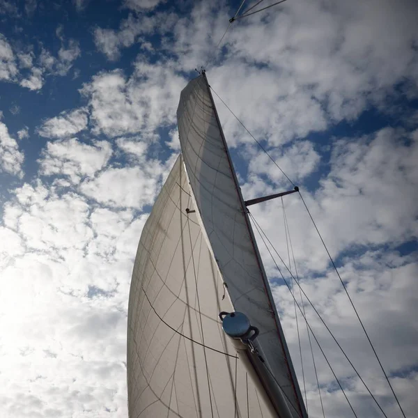 Vit Slupen Riggade Yacht Segling Östersjön Vid Solnedgången Utsikt Från — Stockfoto