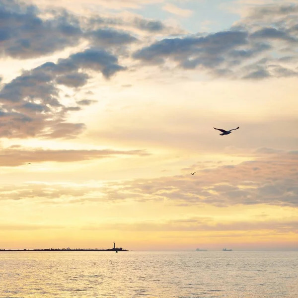 Oostzee Storm Panoramisch Uitzicht Vanaf Een Zeilboot Vuurtoren Meeuwen Dramatische — Stockfoto